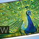 Illustration for article titled LG UB9800 UltraHD TV Review: This Picture's Not Worth the Price